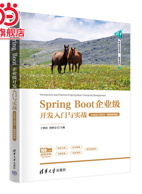 Spring Boot企业级开发入门与实战（IntelliJ IDEA·微课视频版）