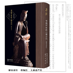 当当网 唯识所依经三种合刊（藏要本影印）-解深密经、楞伽经、大乘密严经-唯识学丛书（第五辑） 正版书籍