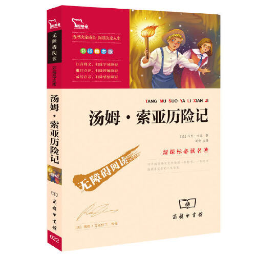汤姆索亚历险记 快乐读书吧 六年级下册推荐阅读(中小学生课外阅读指导丛书)无障碍阅读 彩插励志版 350000多名读者热评!