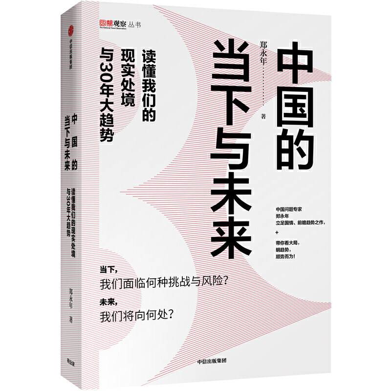 【当当网 正版书籍】中国的当下与未来 读懂我们的现实处境与30年大趋势 中国经济大趋势 经济管理书籍怎么看?