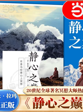 静心之巅在喜马拉雅山上冥想