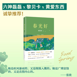 春光好 （“懂女人心的作者” 百万公号“蓝小姐和黄小姐”联合创始人黄佟佟 中短篇小说集 张欣作序  六神磊磊 × 黎贝卡 ×