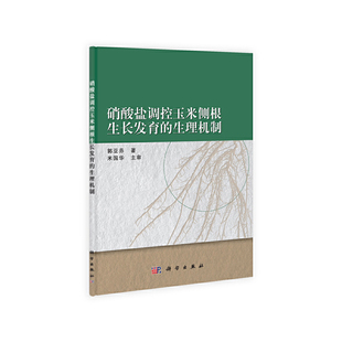 硝酸盐调控玉米侧根生长发育的生理机制