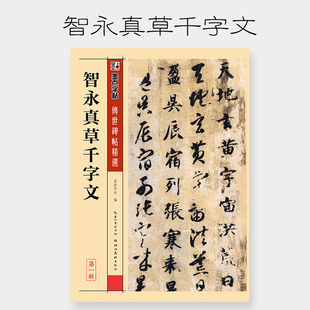 墨点毛笔字帖成人初学者碑帖临摹本智永真草千字文繁体行草书字帖草书字帖成人练字草书字帖字帖