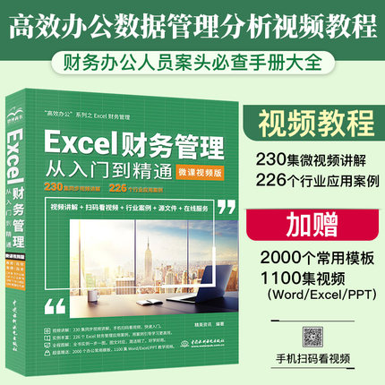 Excel财务管理从入门到精通（微课视频）excel高效办公数据处理与分析wps office vba办公软件入门到精通