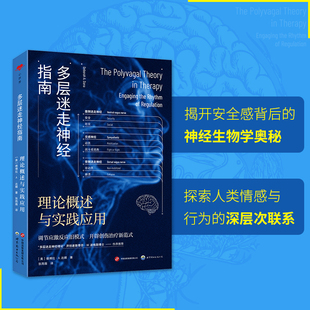 心世界-多层迷走神经指南：理论概述与实践应用