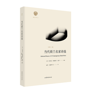 当代荷兰名家诗选 雅歌译丛系列