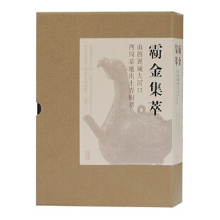 当当网 霸金集萃一一山西翼城大河口西周墓地出土青铜器 山西省考古研究院,山西大学北方考古研究中心,临汾市文物局,翼城县