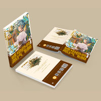 Amber-colored steam Airship (A collection of initial illustrations by fantasy illustrator Mori Kuroi) thumbnail 2