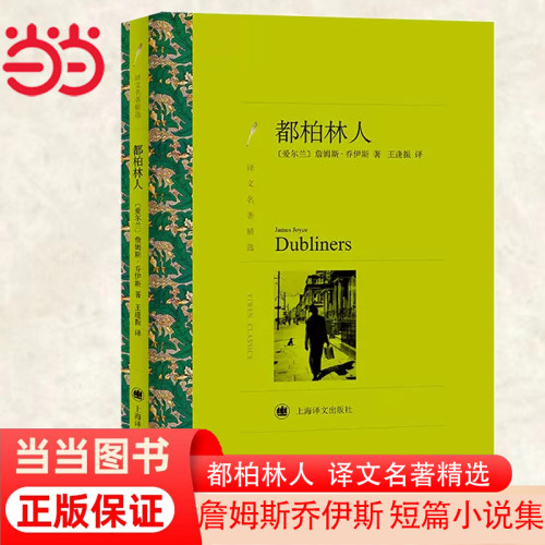 当当网都柏林人（译文名著精选）詹姆斯·乔伊斯盛名短篇小说集上海译文出版社正版书籍-封面