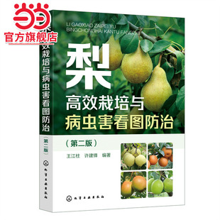 梨高效栽培与病虫害看图防治(第二版)高标准建设梨园 土肥水管理整形修剪花果管理 低效梨树高接改造 梨树种植合作社参考