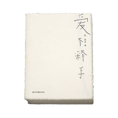 正版书籍 爱不释手 洪卫 著 9787534497797 江苏美术出版社