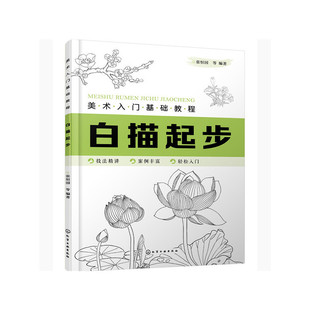 当当网 美术入门基础教程——白描起步 张恒国 化学工业出版社 正版书籍
