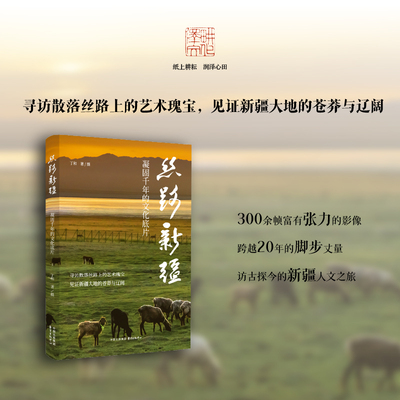 丝路新疆：凝固千年的文化底片（寻访散落丝路上的艺术瑰宝，见证新疆大地的苍莽与辽阔）