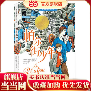 国际大奖小说·成长版--帕尔街少年