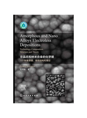 Amorphous and Nano Alloys Electroless Depositions: Technology,Composition, Structure and Theory : 英文