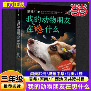当当正版我的动物朋友在想什么 三年级春季阅读书籍阅美黔贵典耀中华王建红儿童文学小学生三年级必读课外书长江少年儿童出版