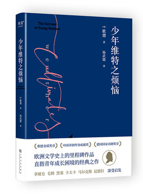 少年维特之烦恼（激励拿破仑的成长之书。毛姆、黑塞、卡夫卡、马尔克斯深受启发。歌德金质奖章获得者杨武能德文直译，经典译本）