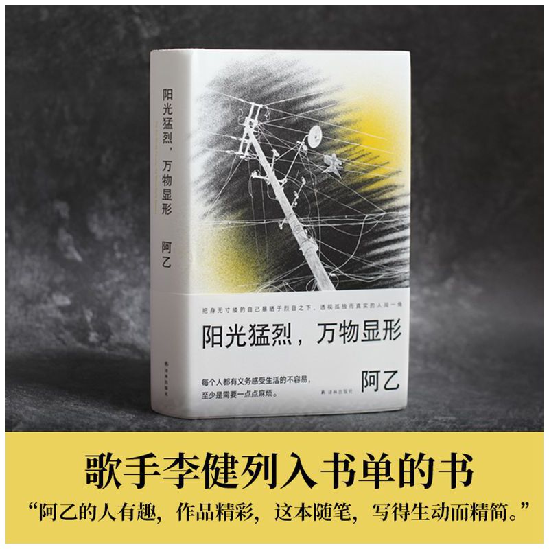 当当网阳光猛烈，万物显形（作家阿乙的人生词典，歌手李健推荐：“阿乙人有趣，作品精彩，这本随笔阿乙译林出版社正版书籍-封面