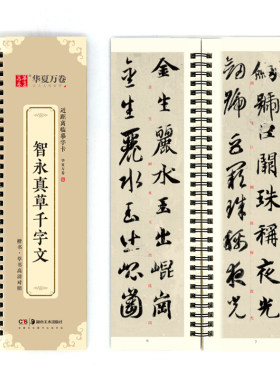 华夏万卷字帖 近距离临摹字卡 智永真草千字文字帖成人初学者草书钢笔硬笔毛笔临摹书法字帖