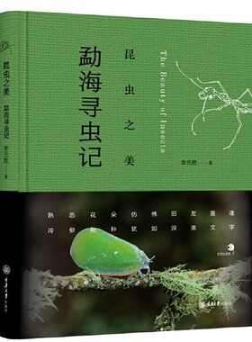 昆虫之美：勐海寻虫记