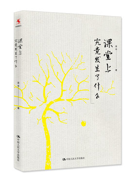 课堂上究竟发生了什么（平装本）