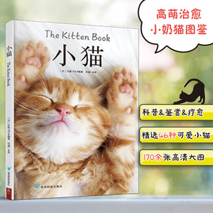 治愈系科普图鉴：小猫 动物图鉴猫咪猫图鉴宠物猫品种图鉴世界名猫猫科动物鉴赏书籍