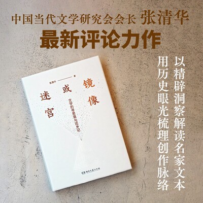 镜像或迷宫 文学的寻思录与还乡记