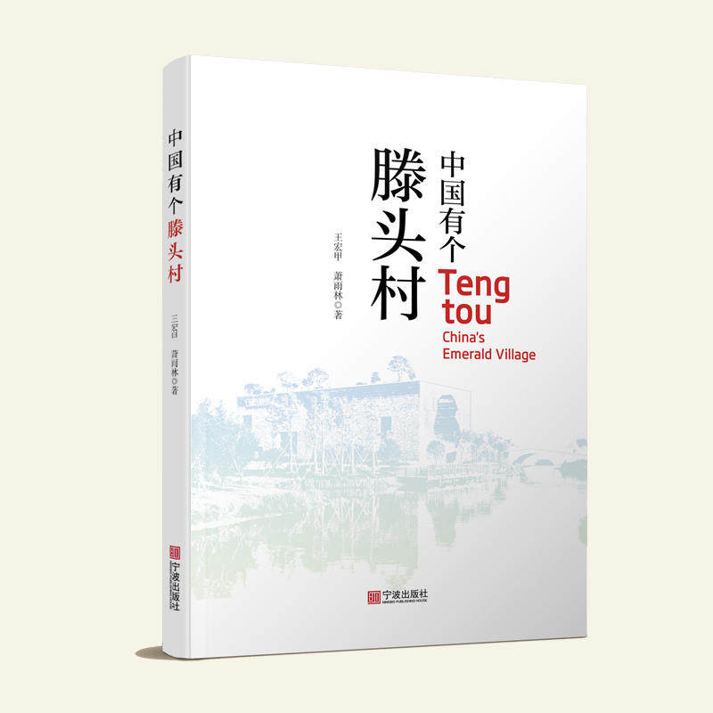 中国有个滕头村,书籍/杂志/报纸,纪实/报告文学,淘宝优惠券,粉丝福利购,淘宝优惠卷