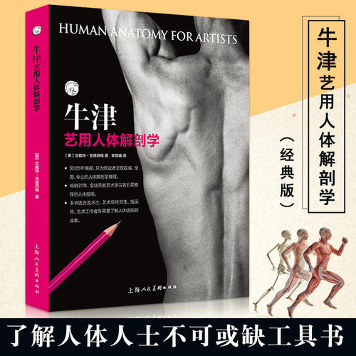 牛津艺用人体解剖学艺考教程教材
