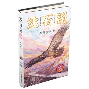 动物小说大王沈石溪·注音读本:雄鹰金闪子