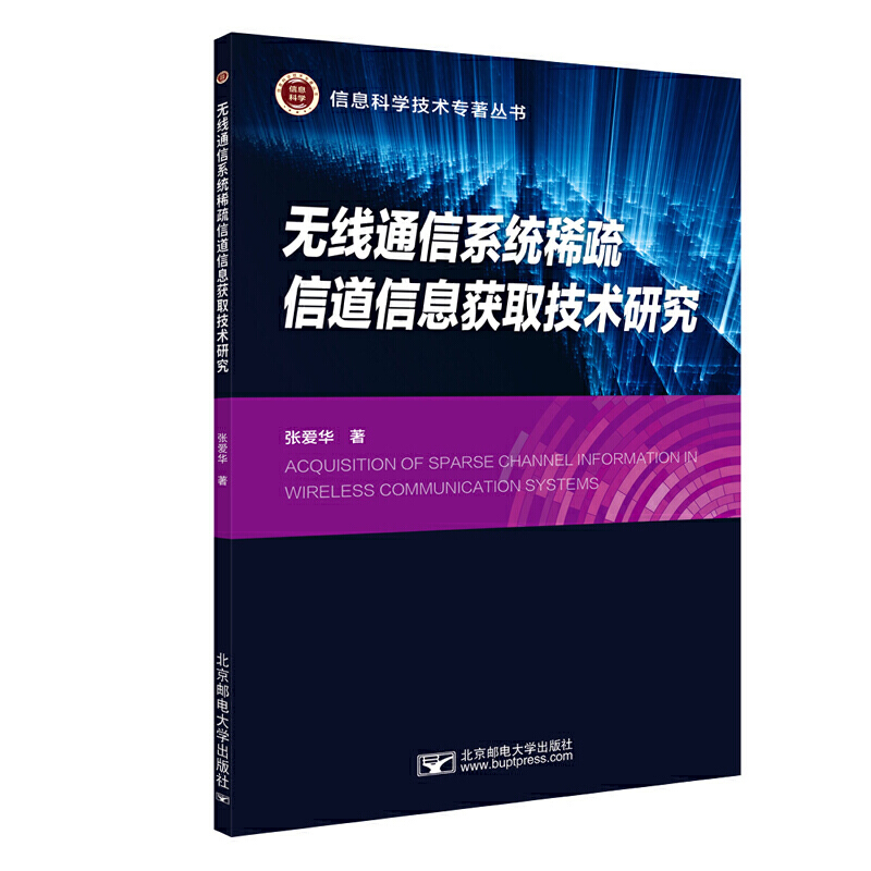 无线通信系统稀疏信道信息获取技术研究