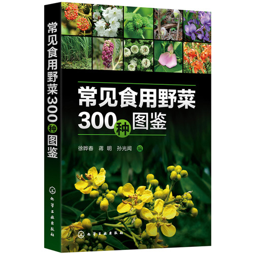 当当网 常见食用野菜300种图鉴正版书籍
