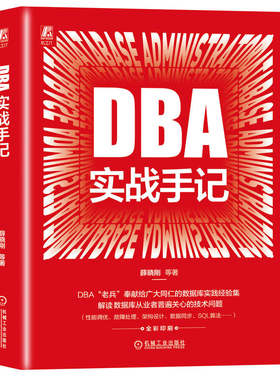 DBA实战手记  薛晓刚 等