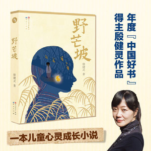 当当网正版童书 野芒坡殷健灵儿童文学长篇三四五六年级小学生课外书籍成长励志故事 9-12-14岁儿童读物心灵成长小说 寒暑假阅读