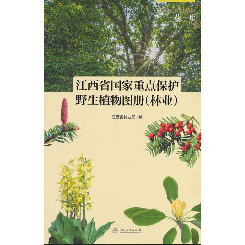 一花一叶(江西省国家重点保护野生植物图册林业)/小途探秘系列丛书
