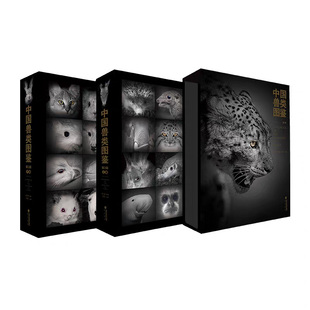 中国兽类图鉴（第3版）