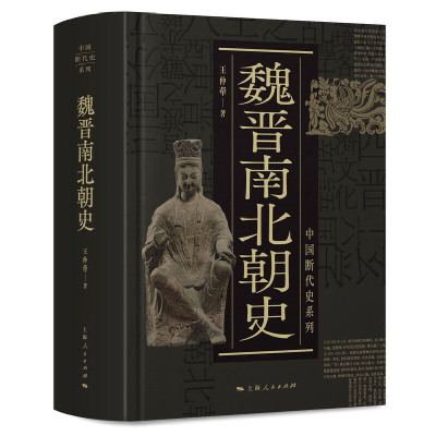 魏晋南北朝史(中国断代史系列)