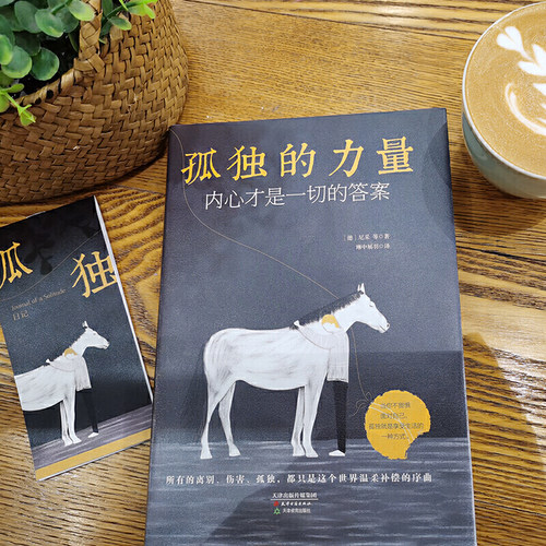 当当网 《孤独的力量：内心才是一切的答案》 精选叔本华、加缪、茨威格、德波顿等大师名 尼采　 天津古籍出版社 正版书籍