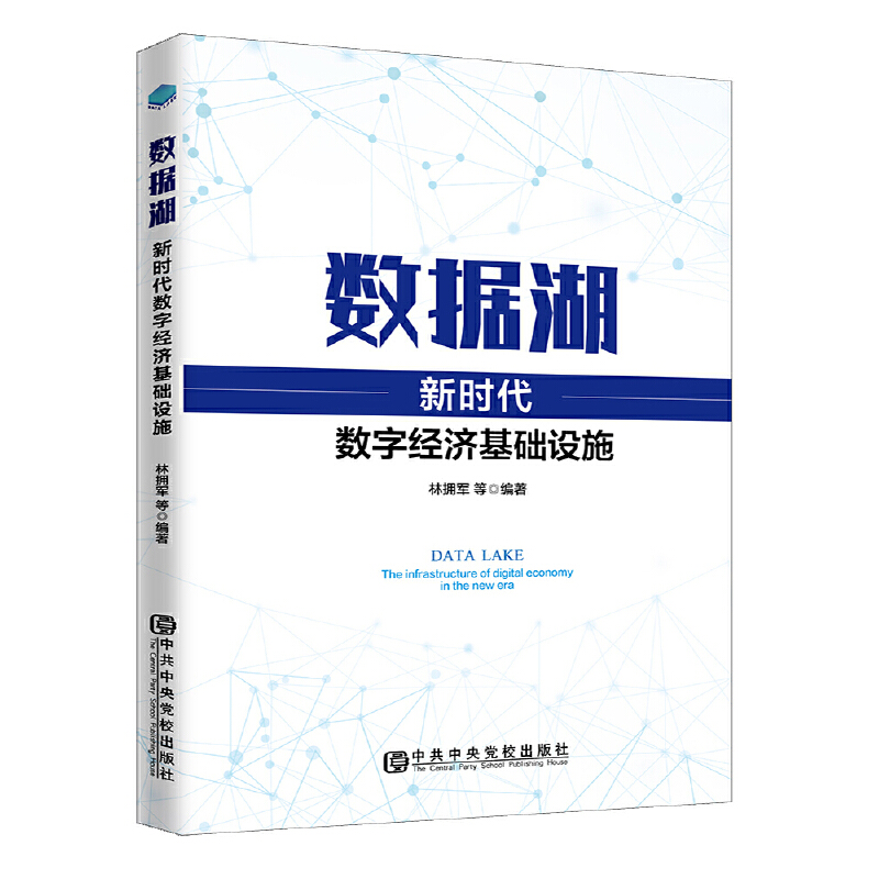 数据湖：新时代数字经济基础设施