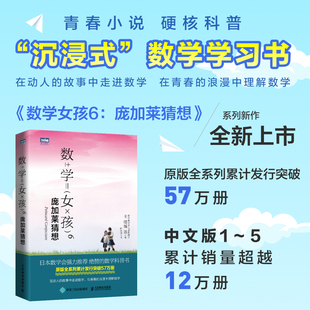 当当网 数学女孩6：庞加莱猜想 [日]结城浩 人民邮电出版社 正版书籍