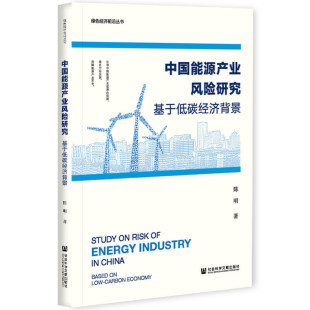 中国能源产业风险研究：基于低碳经济背景