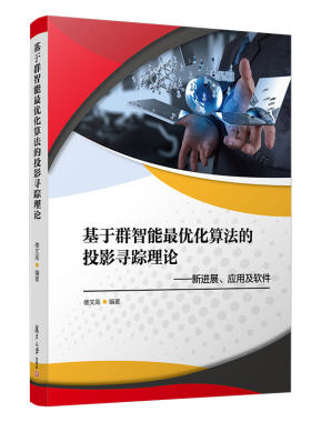 当当网 基于群智能化算法的投影寻踪理论——新进展、应用及软件 楼文高编著 复旦大学出版社计算机算法化算 正版书籍