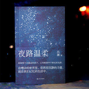 夜路温柔（嘈杂世界里，依然有沉静的力量，就在我们记忆的生活中）