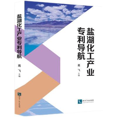 盐湖化工产业专利导航