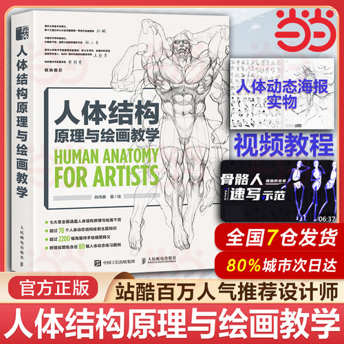 当当网官方旗舰 人体结构原理与绘画教学肖玮春 春哥人体结构教程书绘画零基础入门自学教材艺术理论设计教程书