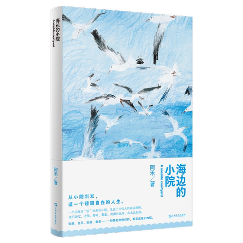 海边的小院（一个家庭近半世纪的真实谋生故事。他们热烈笨拙地本分活着，始