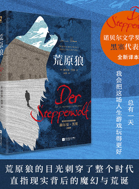 当当网 荒原狼全新译本 诺贝尔文学奖得主黑塞代表作外国经典长篇小说课外阅读名著德米安彷徨少年时悉达多正版畅销