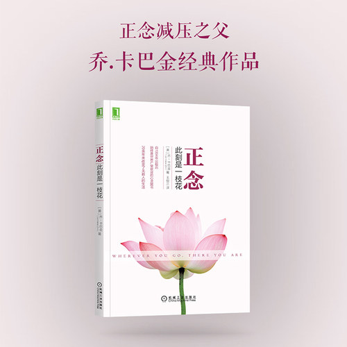 【当当网】正念 此刻是一枝花 正念减压之父乔·卡巴金代表作 阐明正念冥想的精髓和方法 找回平静、专注、清明、幸福 正版书籍