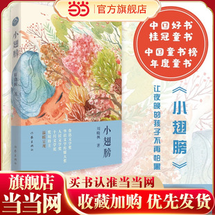 当当正版 小翅膀 中小学生校园小说6-12岁（鲁迅文学奖、华语文学传媒大奖、人民文学奖、十月文学奖等奖项得主周晓枫 温暖呈现）